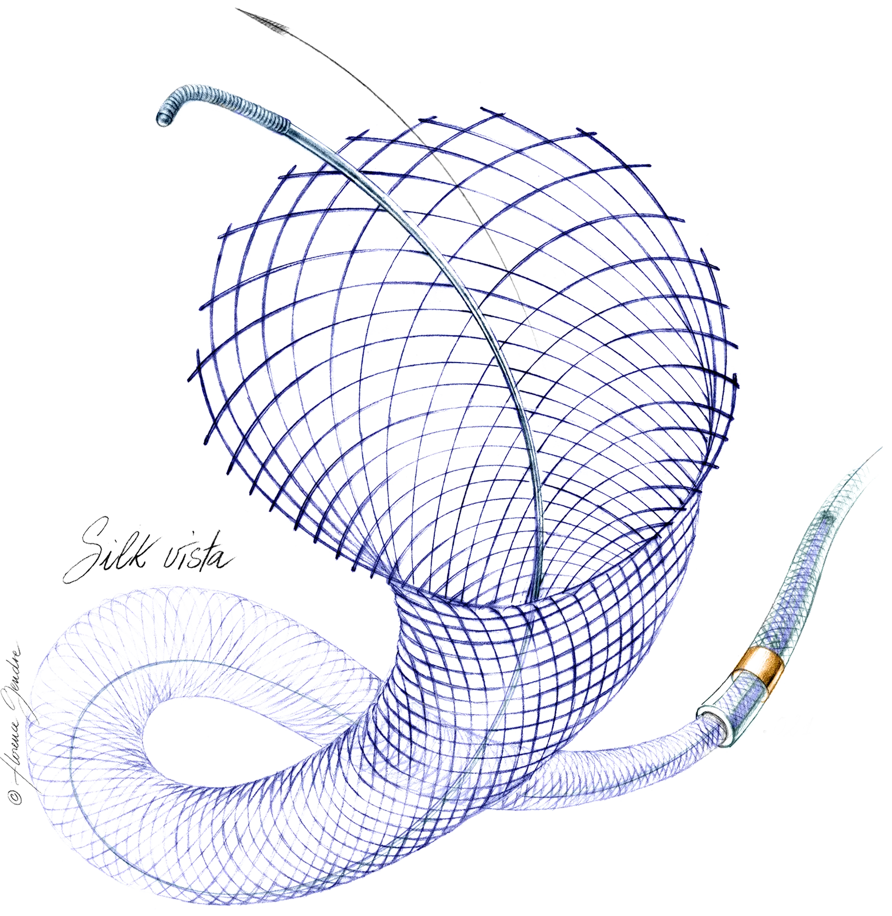 Silk Vista