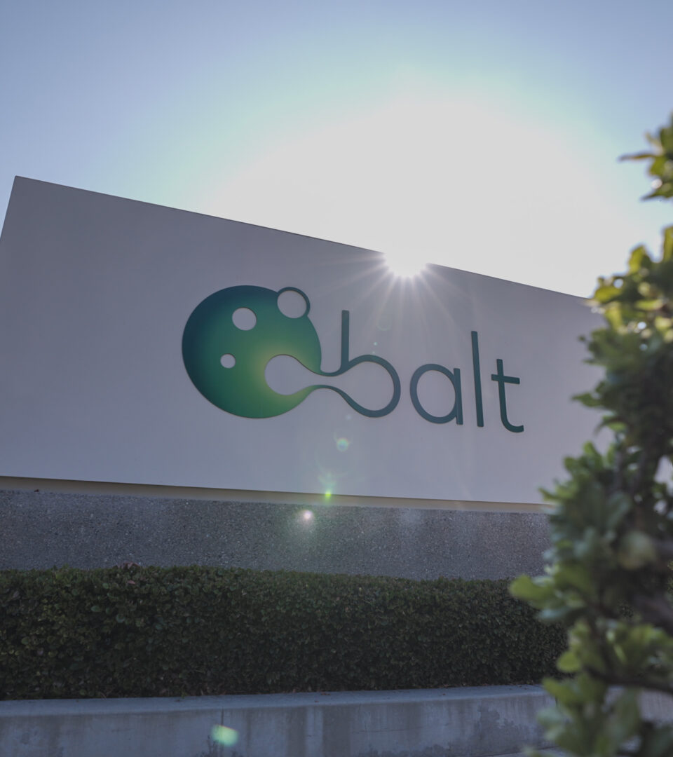 Sharing Our Story: Balt’s New Video
