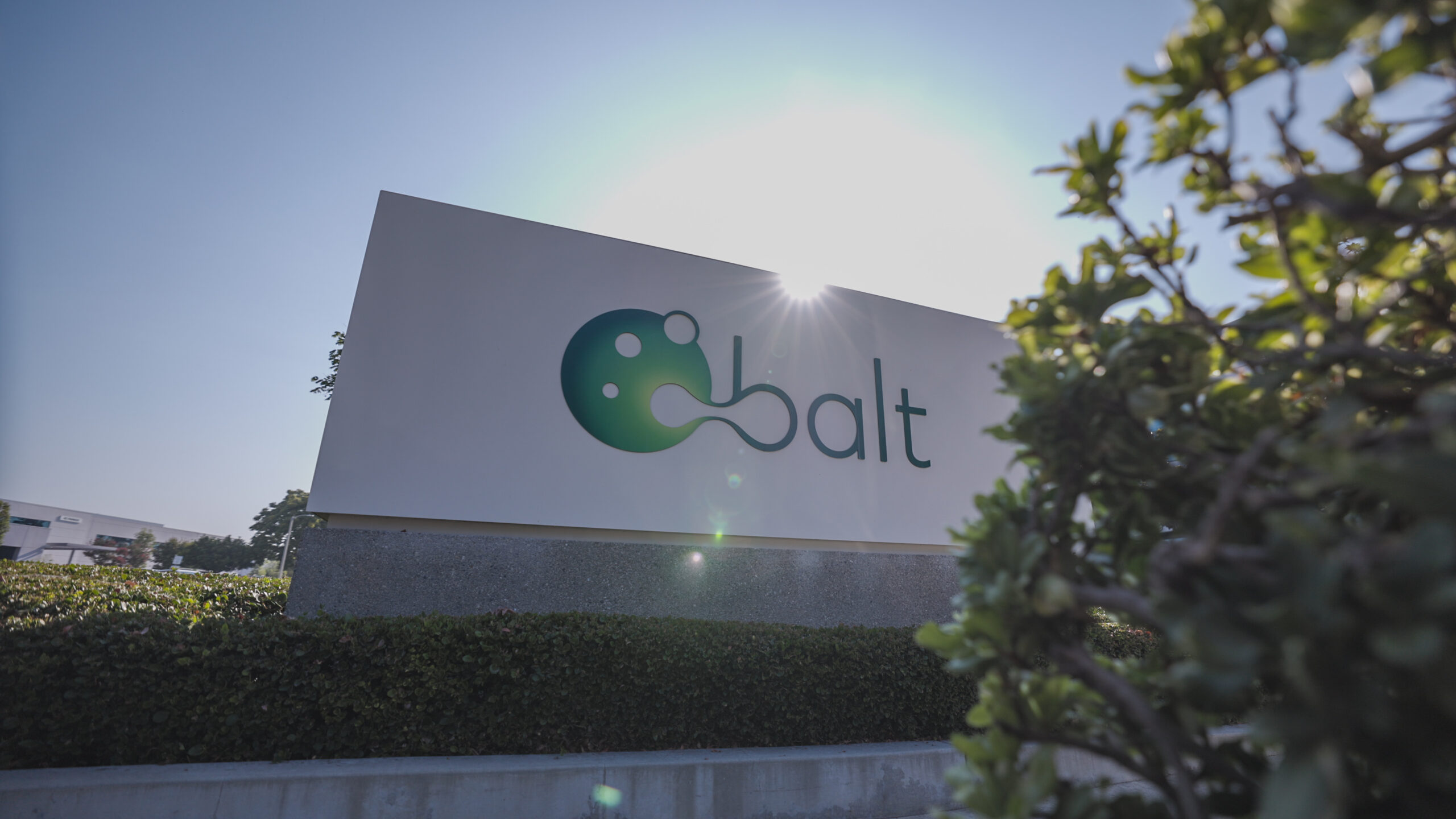 Sharing Our Story: Balt’s New Video