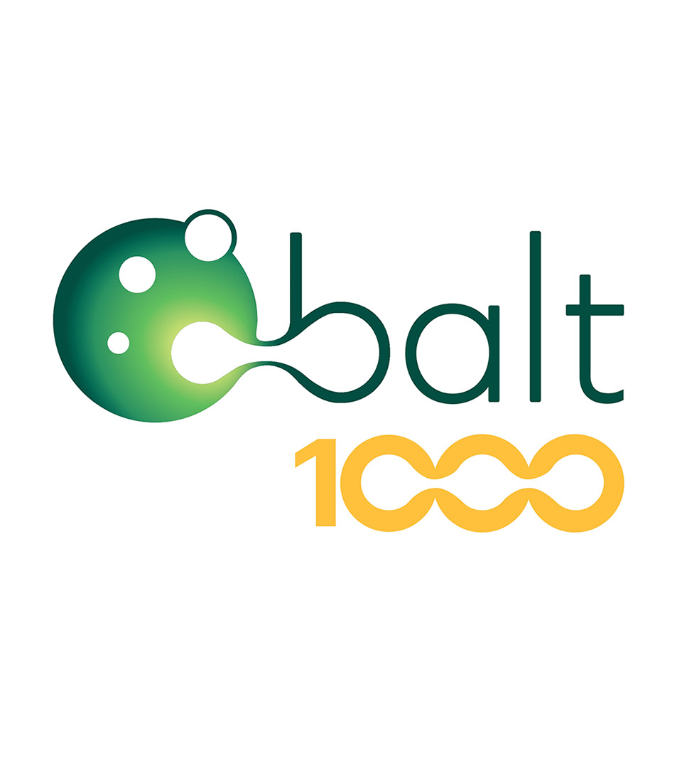 The Balt team has reached 1,000 team members across the globe! 