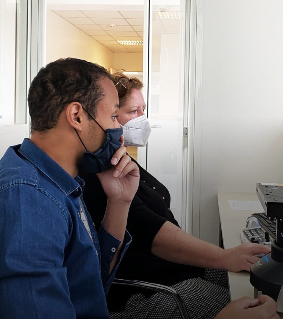 Test Article for Cropped Images